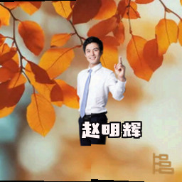 赵明辉